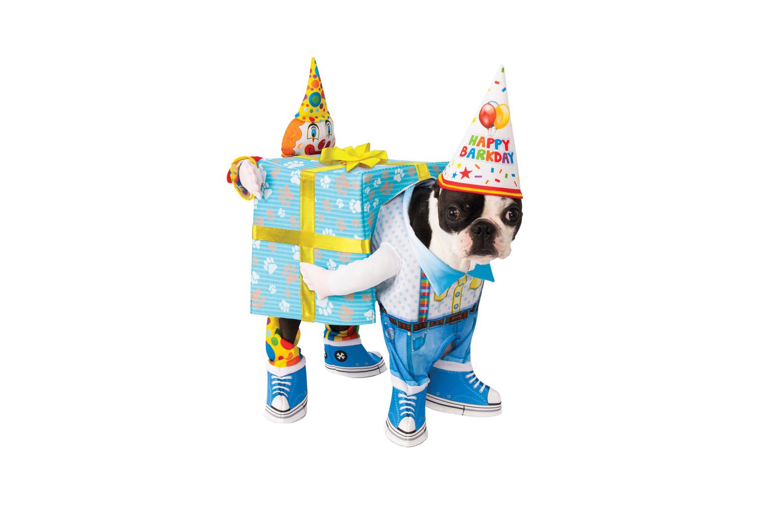 Rubies | Rb-200549lxl-l | Birthday Carry Pet Costume L