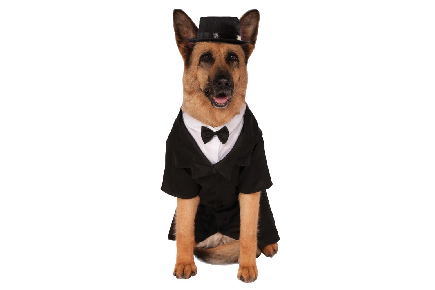 Rubies | Rb-580278-xxxl | Xxxl Dapper Pet Costume Xxxl