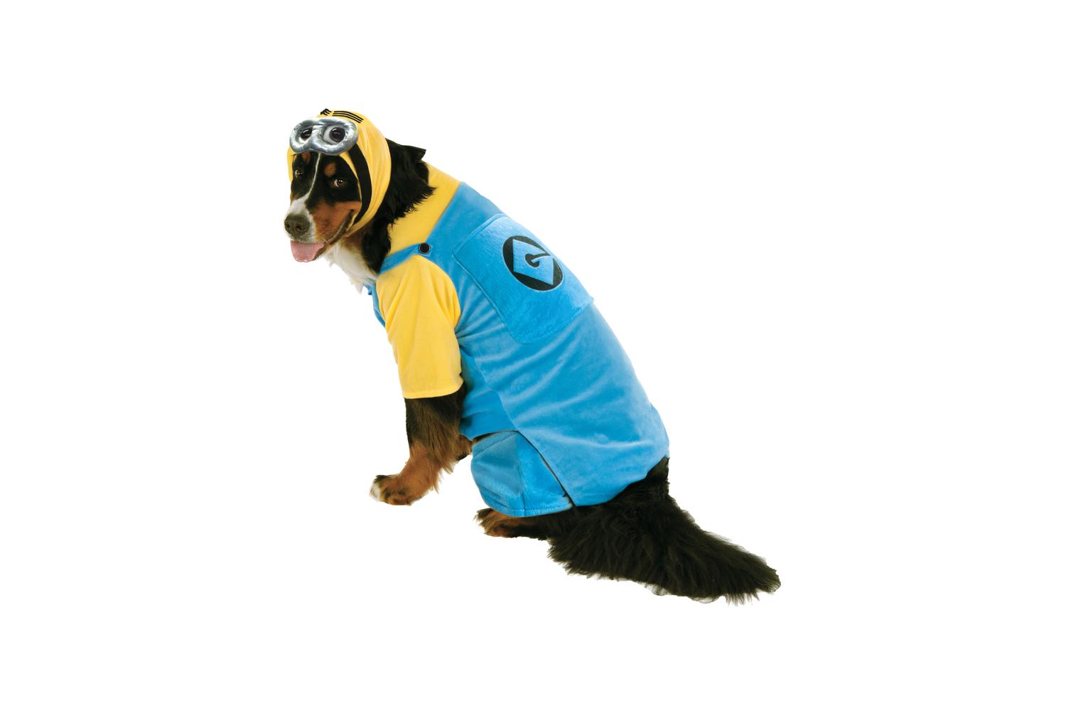 Rubies | Rb-580282-xxl | Xxxl Minion Pet Costume Xxl
