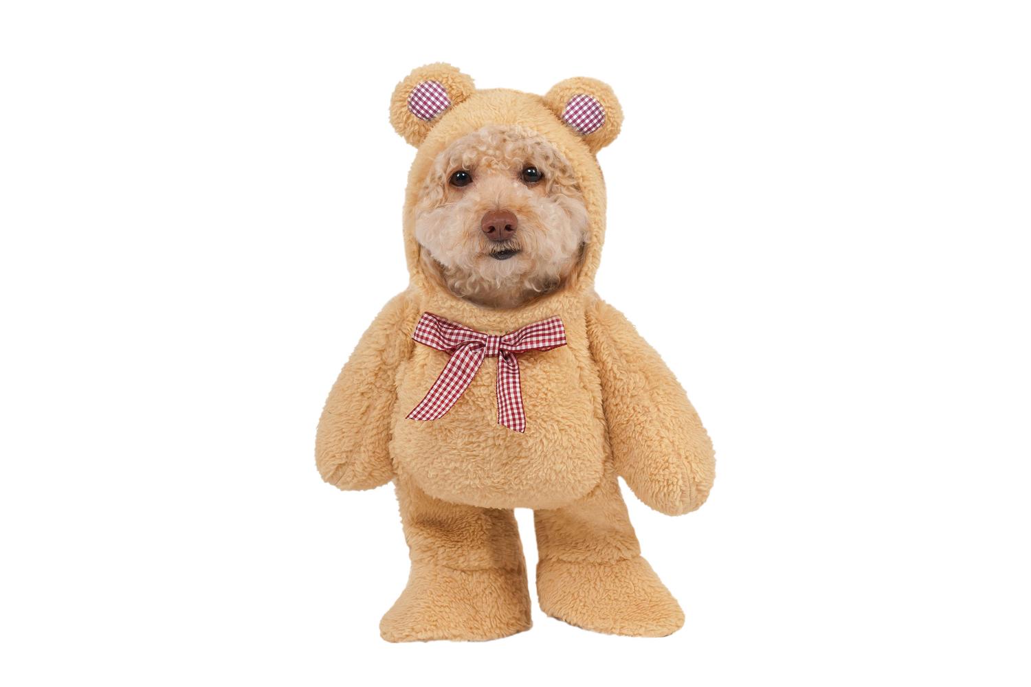 Rubies | Rb-580329lxl-l | Walking Teddy Bear Pet Costume L