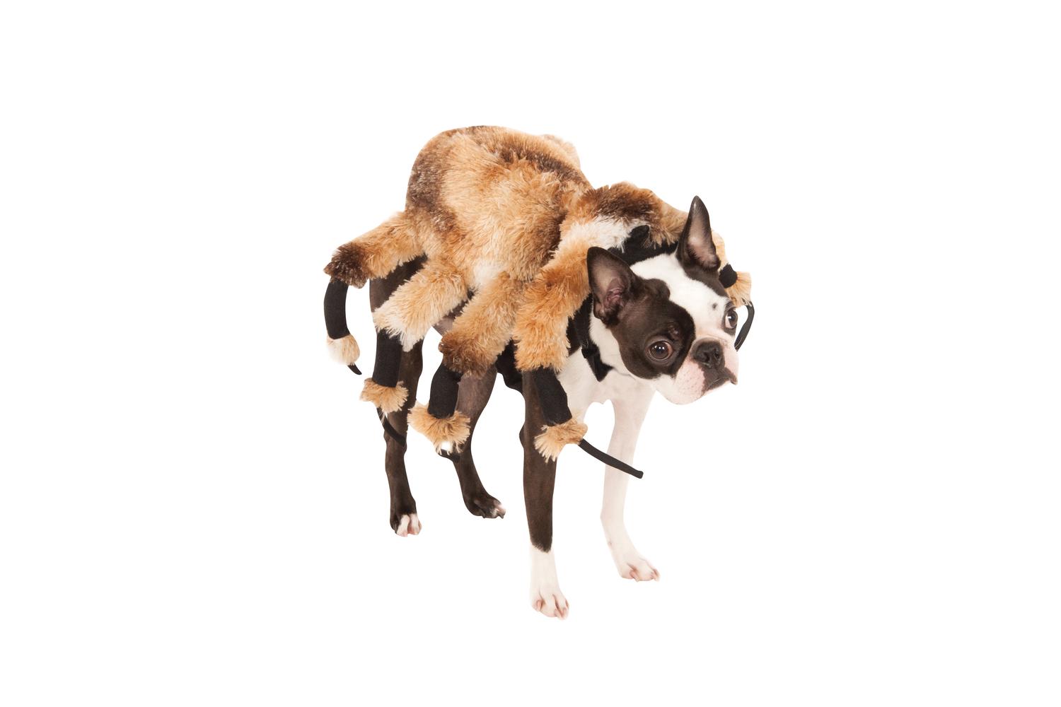 Rubies | Rb-580358-s | Giant Spider Pet Costume S