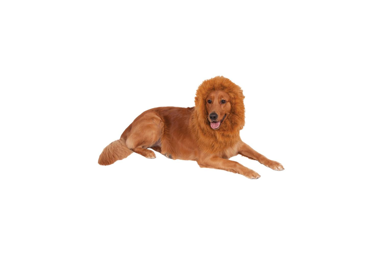 Rubies | Rb-580426-ns | Dlx. Lion's Mane Pet Costume Ns
