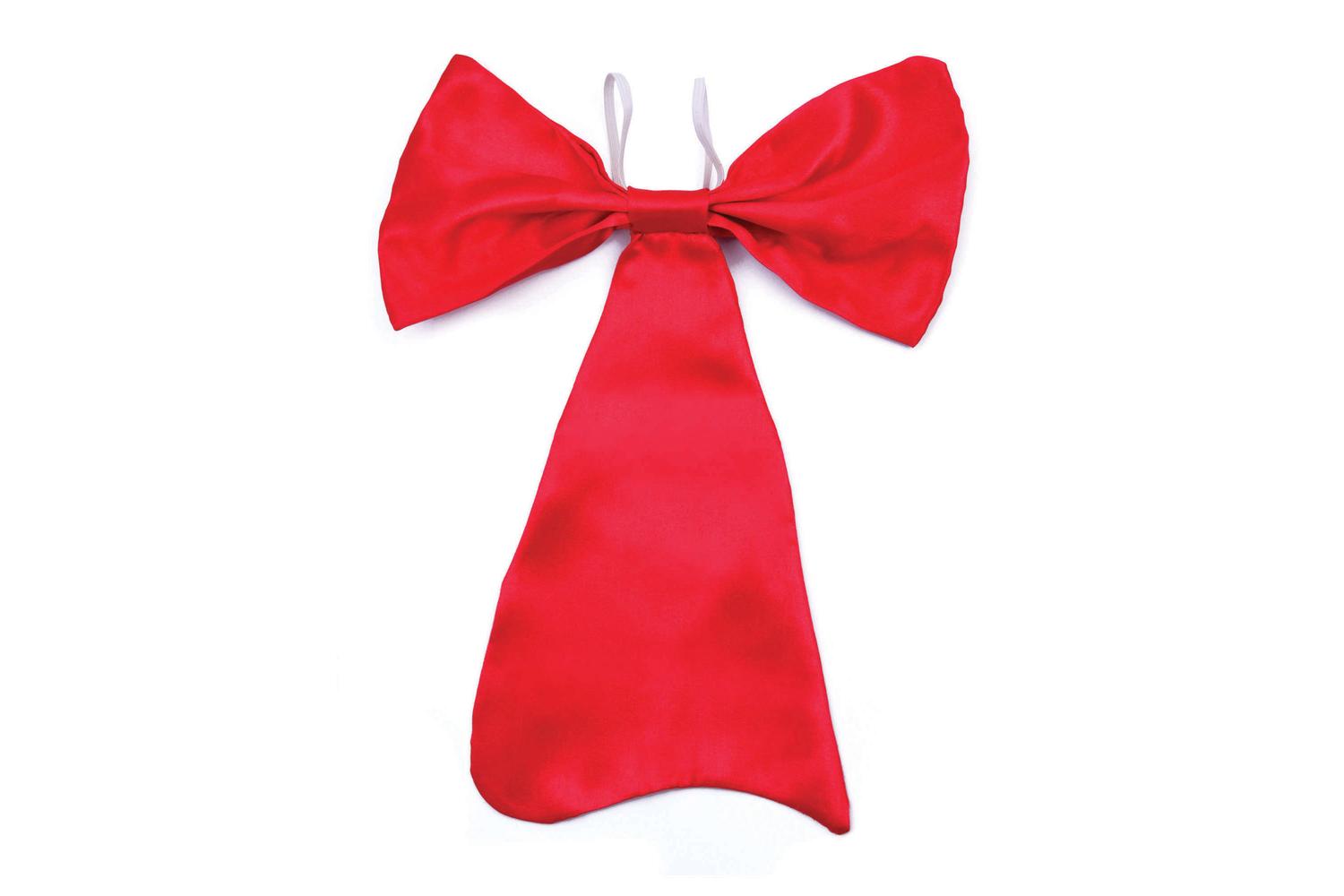 Rubies | Rb-ba1325 | Large Red Bow Tie