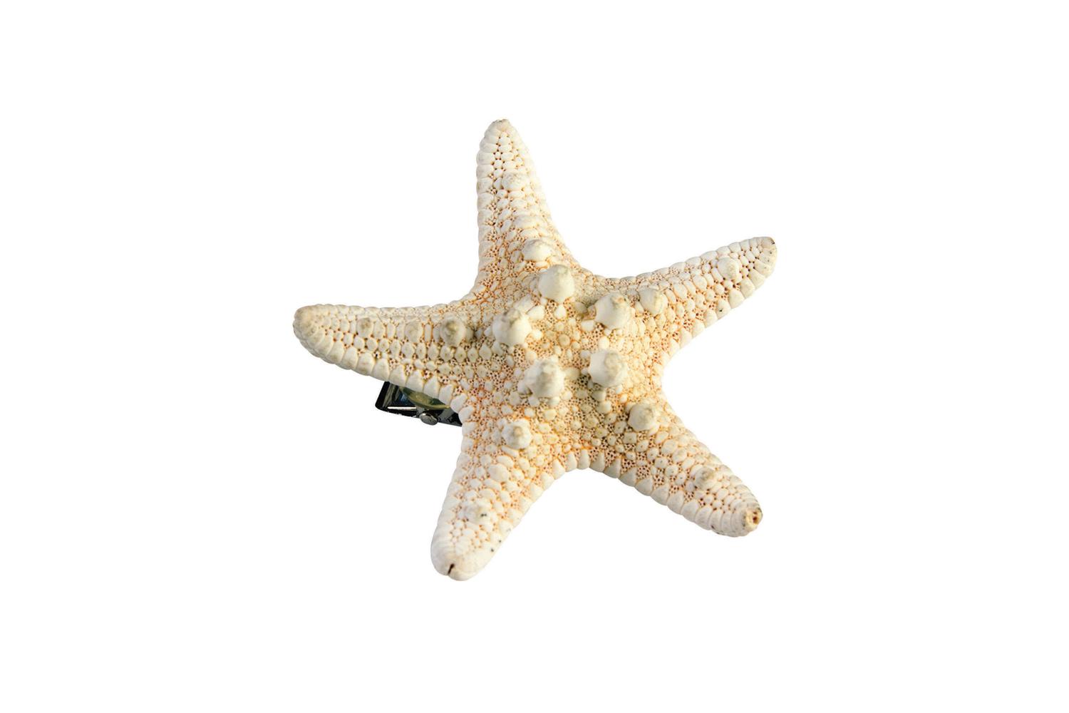 Rubies | Rb-x75002 | Mermaid Starfish Hairclip Fancy Dress Female Hair Accessory