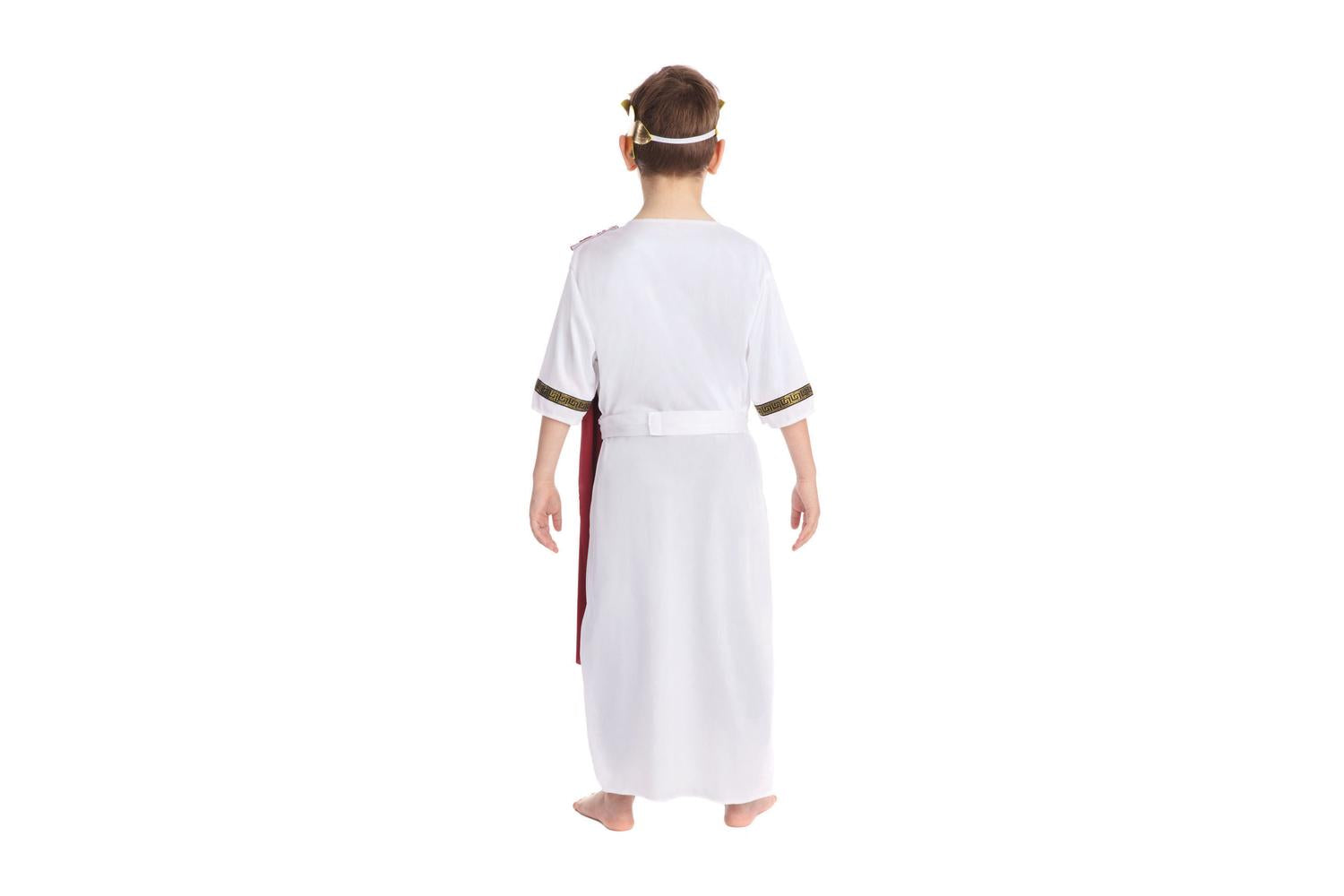Rubies | Rb-cc519 | Roman Emperor 110-122cm Boys Childrens Costume-3