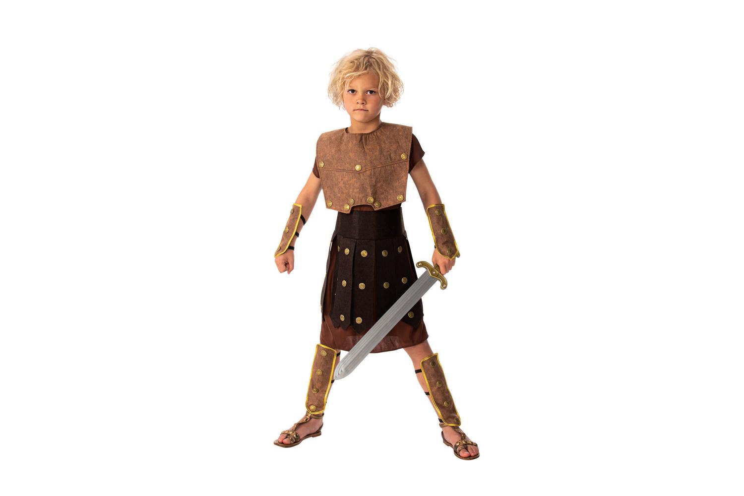 Rubies | Rb-cc669 | Warrior 122-134cm Boys Childrens Costume