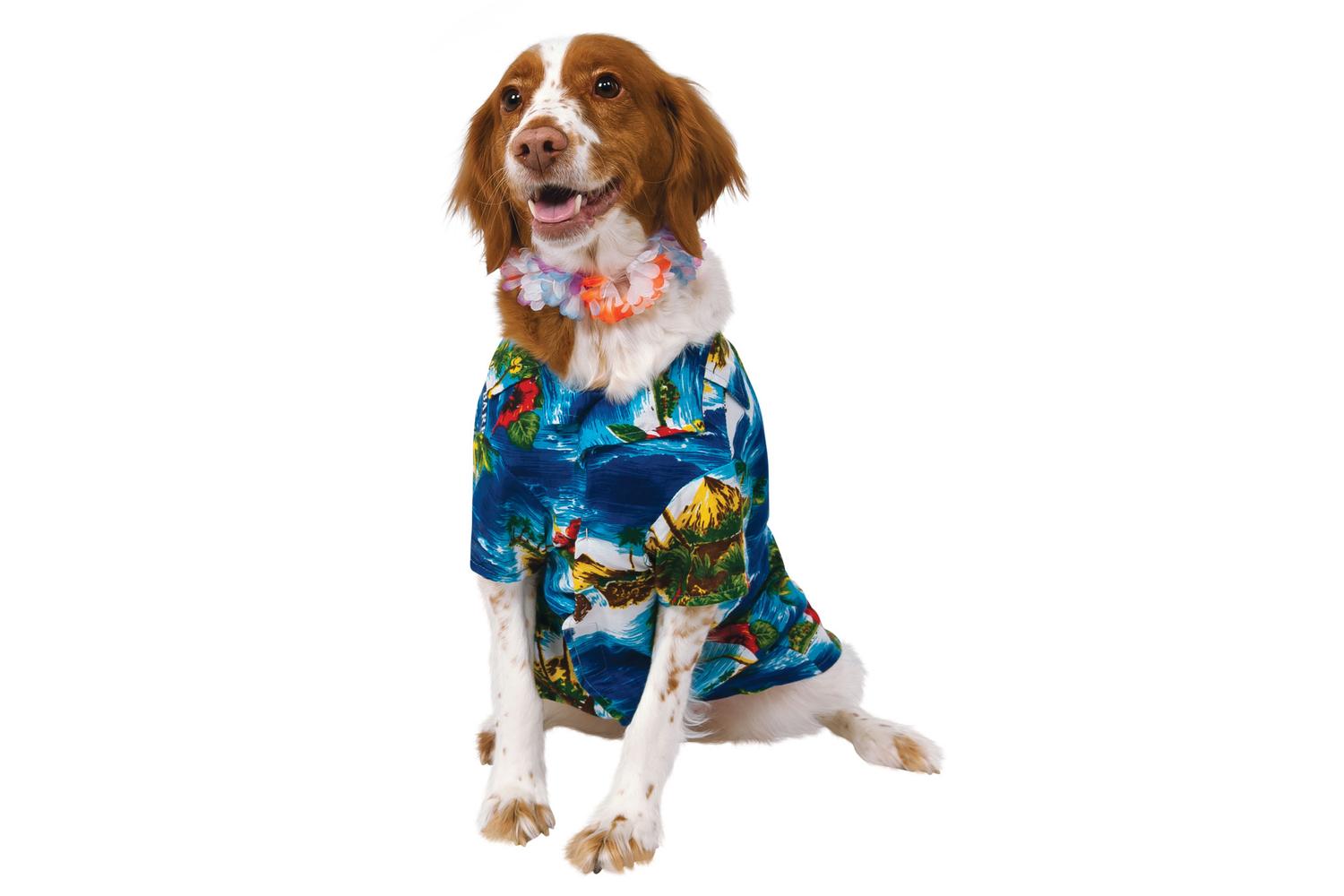 Rubies | Rb-885932-s | Luau Pet Costume S