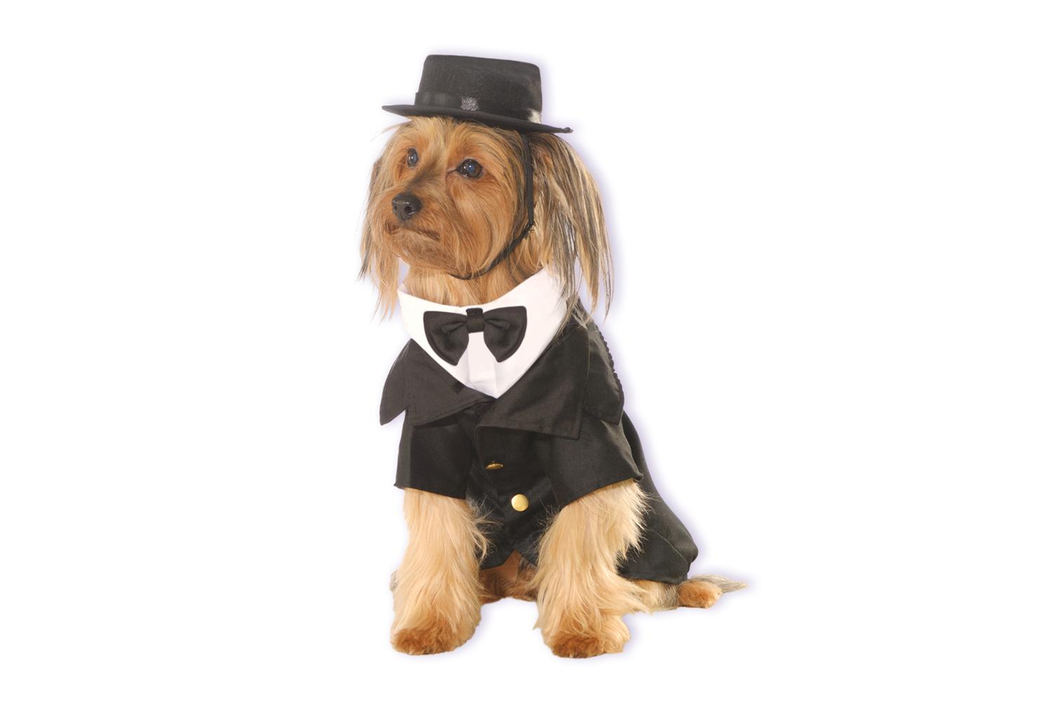Rubies | Rb-885933lxl-xl | Dapper Pet Costume Xl