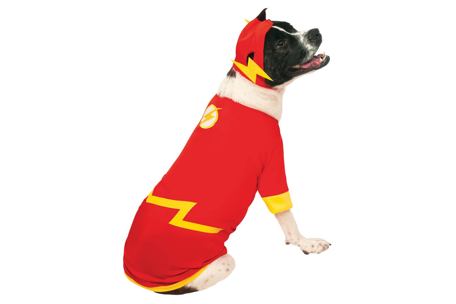 Rubies | Rb-887844lxl-xl | Flash Pet Costume Xl