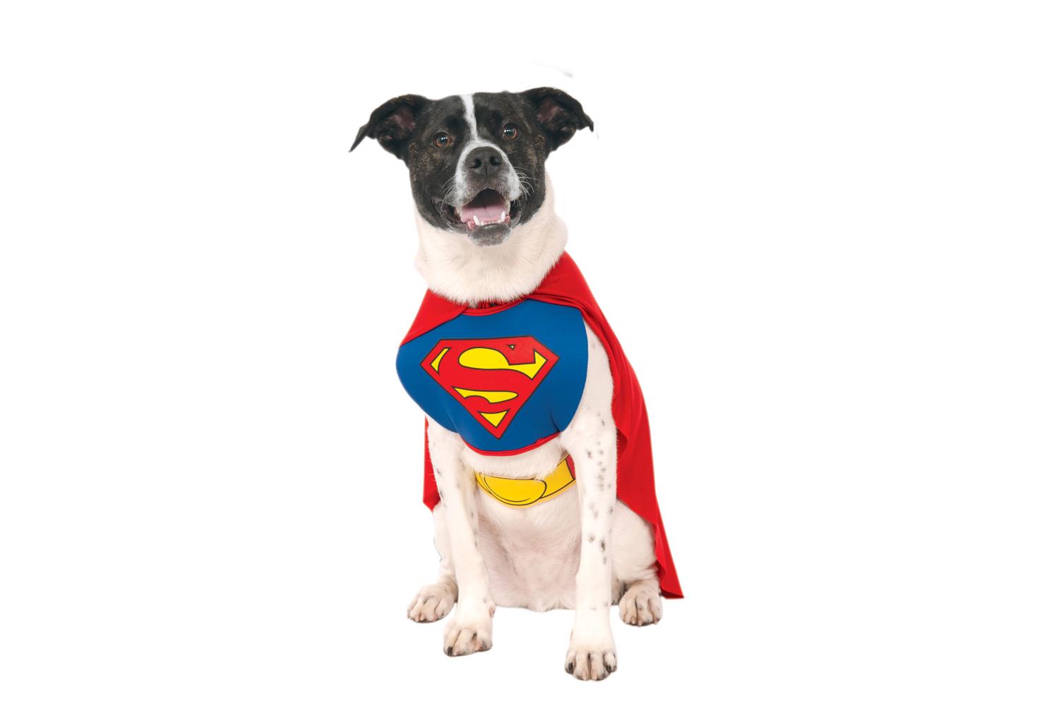 Rubies | Rb-887892lxl-xl | Superman Dog Costume Xl