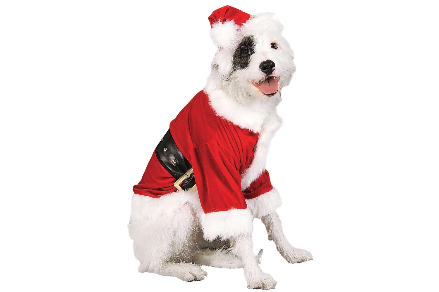 Rubies | Rb-887895lxl-xl | Santa Claus Pet Costume Xl