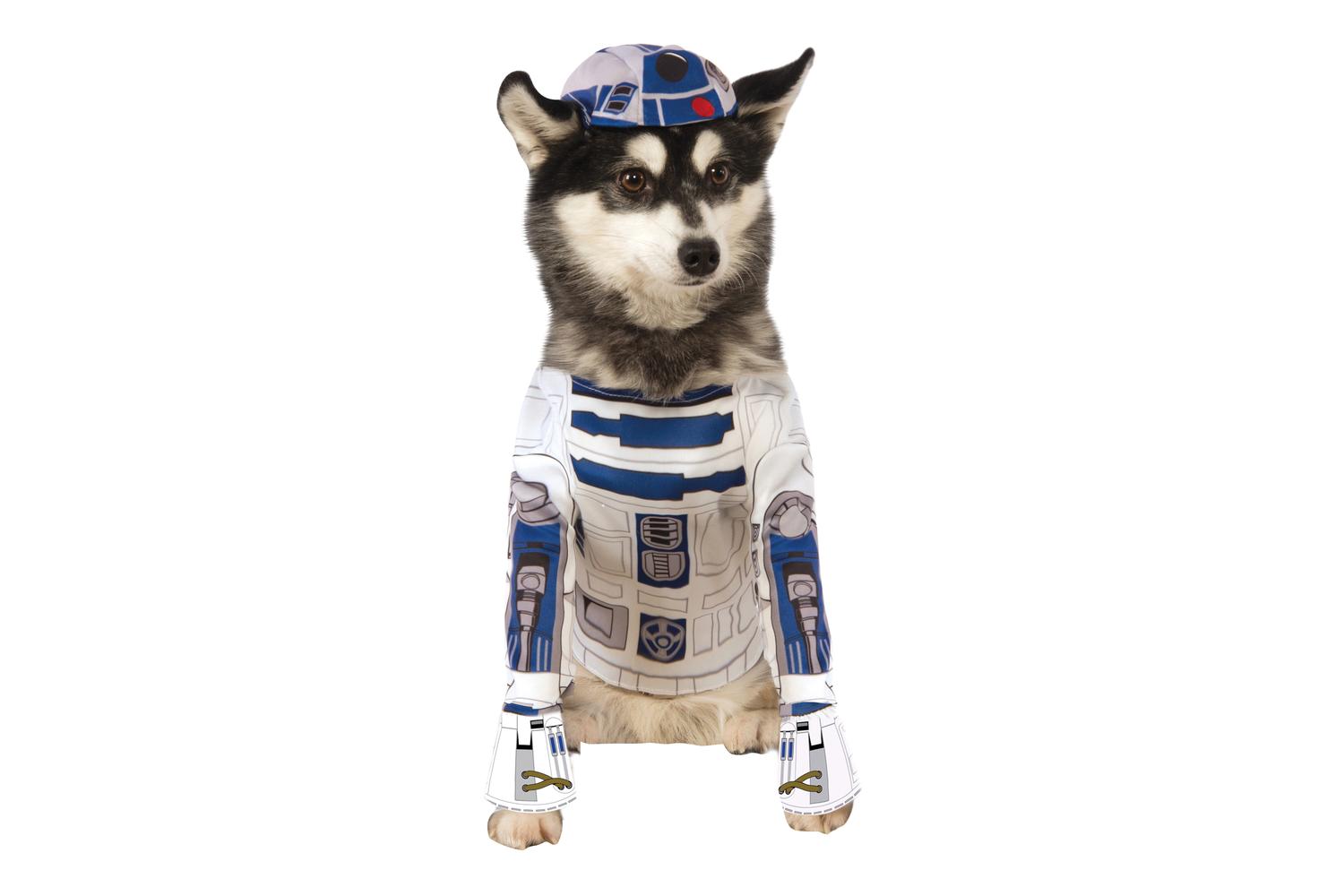 Rubies | Rb-888249-m | R2-d2 Pet Costume M