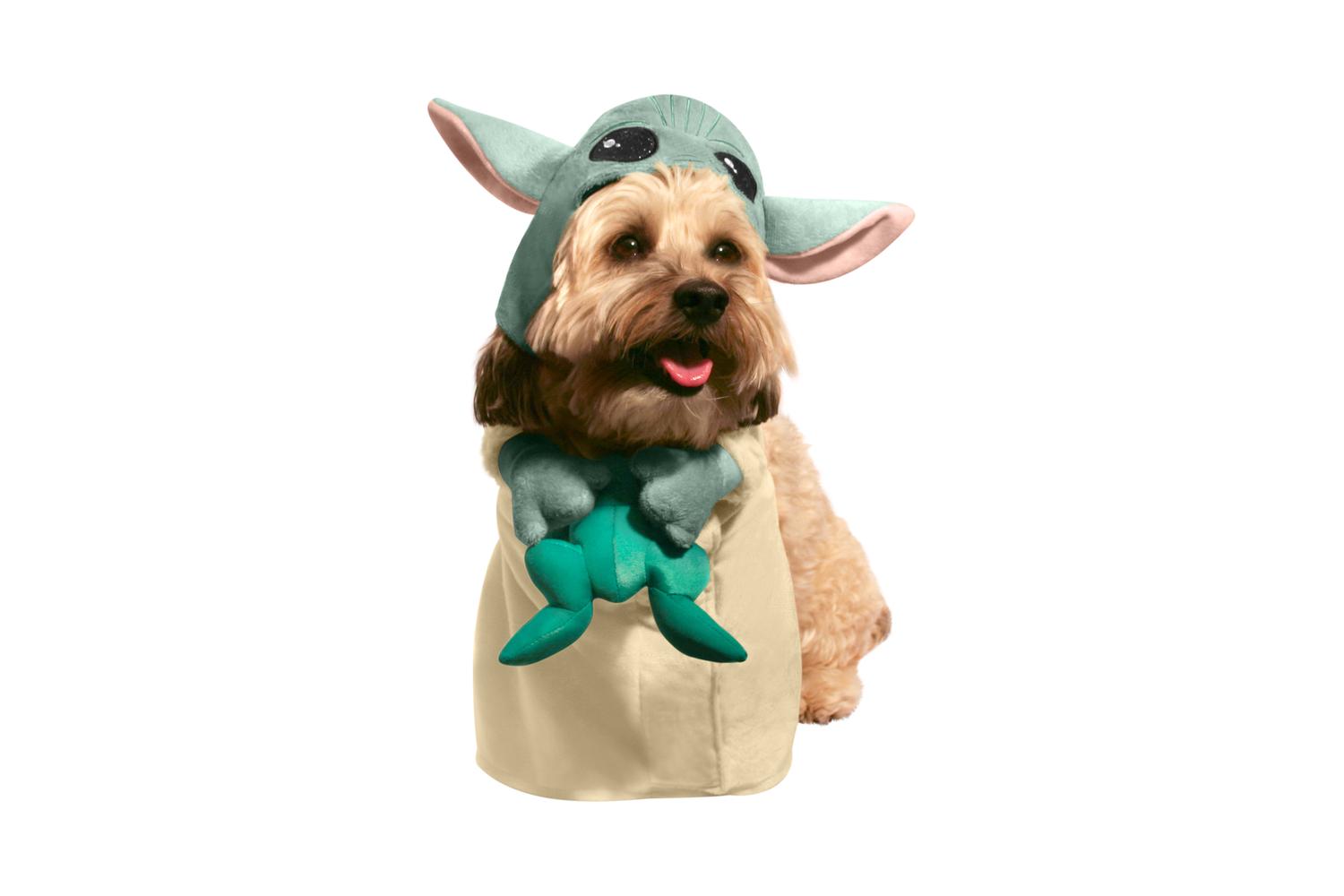 Rubies | Rb-202306m000 | Swm- The Child Walking Pet Cos