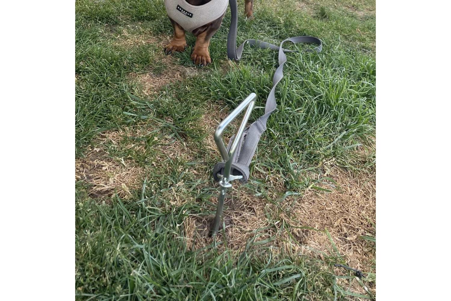 Olpro Dog Tie Down Anchor | Steel | Size-8mm X 405mm-4