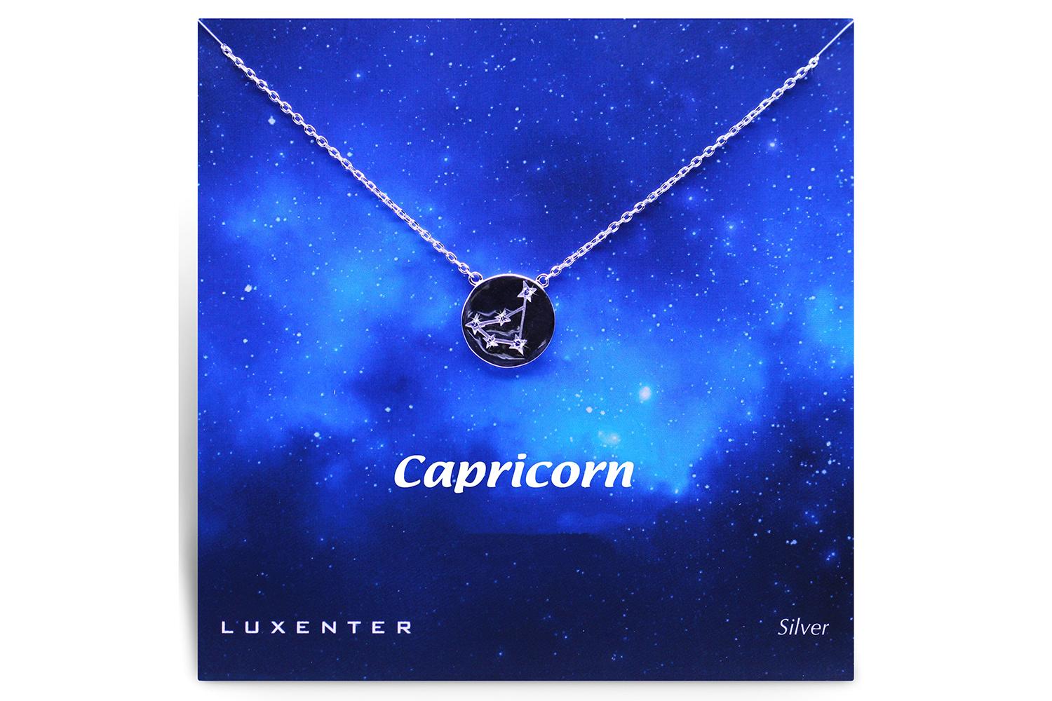 Luxenter Sterling Silver Zodiac Necklace