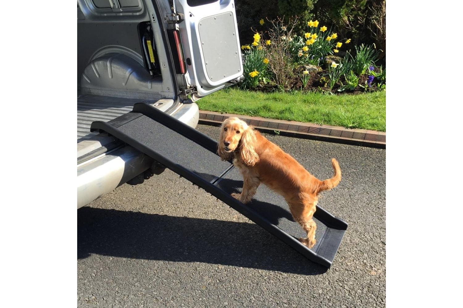 RayGar Pet Ramp Folding & Lightweight | Grey-2