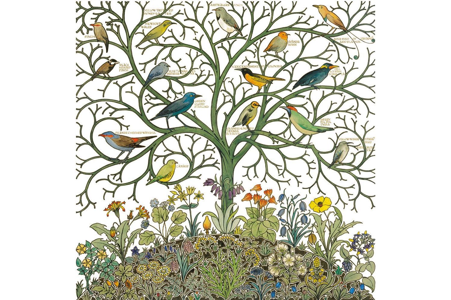 E Theme Notecards - Arts And Crafts Birds - Notecards Wallets-3