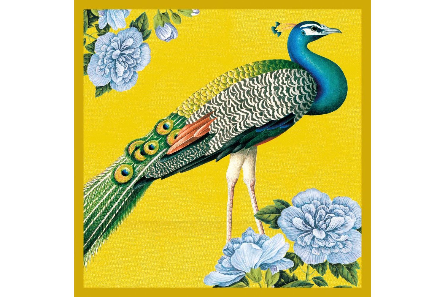 E Theme Notecards - Exotic Animals - Notecards Wallets-2