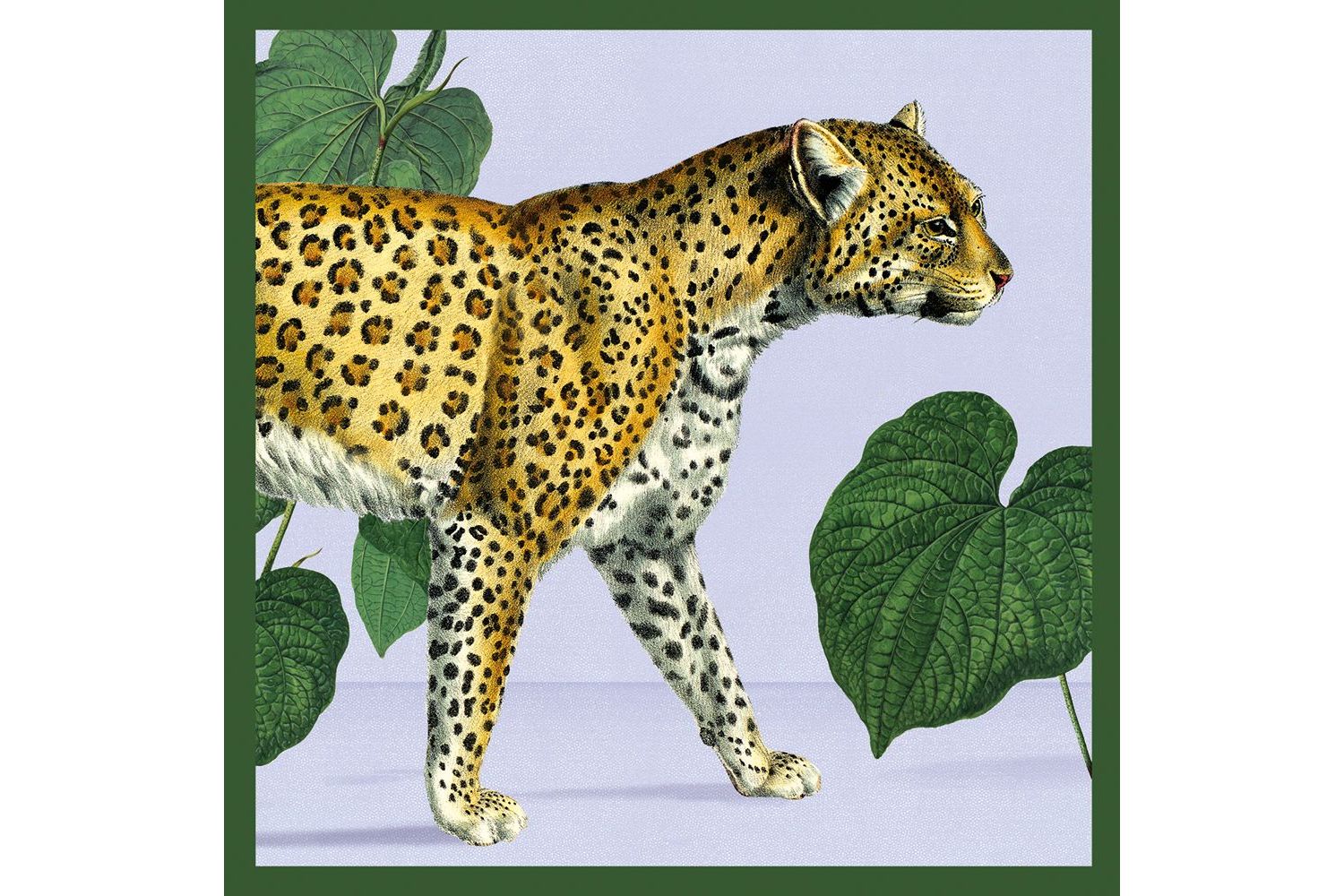 E Theme Notecards - Exotic Animals - Notecards Wallets-3