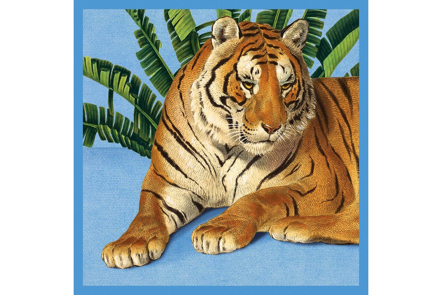 E Theme Notecards - Exotic Animals - Notecards Wallets-4