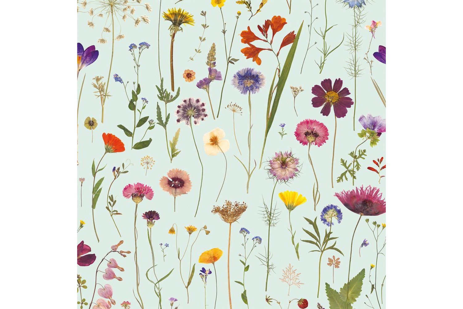 E Theme Notecards - Wild Press - Notecards Wallets-2
