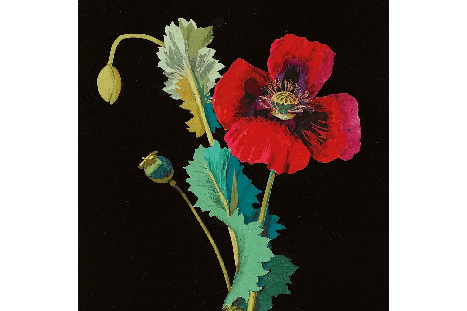 E Theme Notecards - Flowers By Mary Delany - Notecards Wallets-2