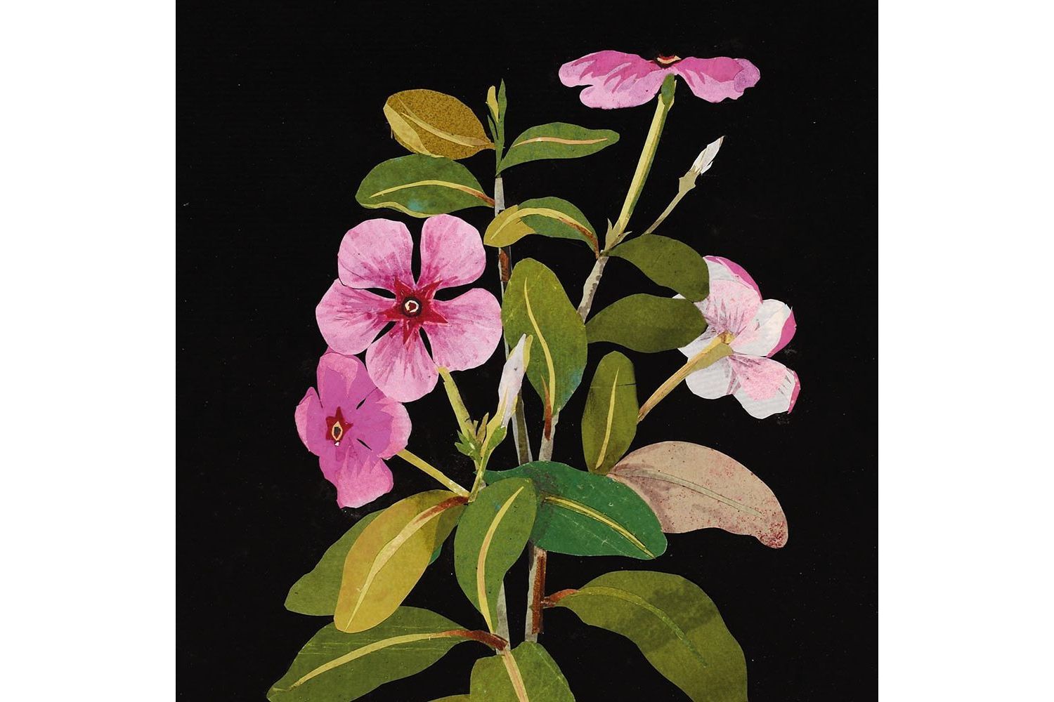 E Theme Notecards - Flowers By Mary Delany - Notecards Wallets-3