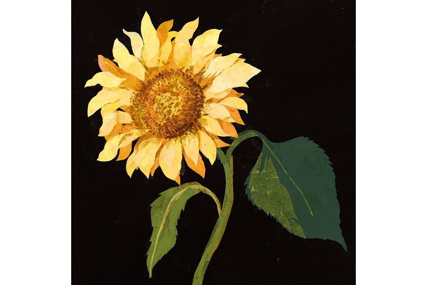 E Theme Notecards - Flowers By Mary Delany - Notecards Wallets-4