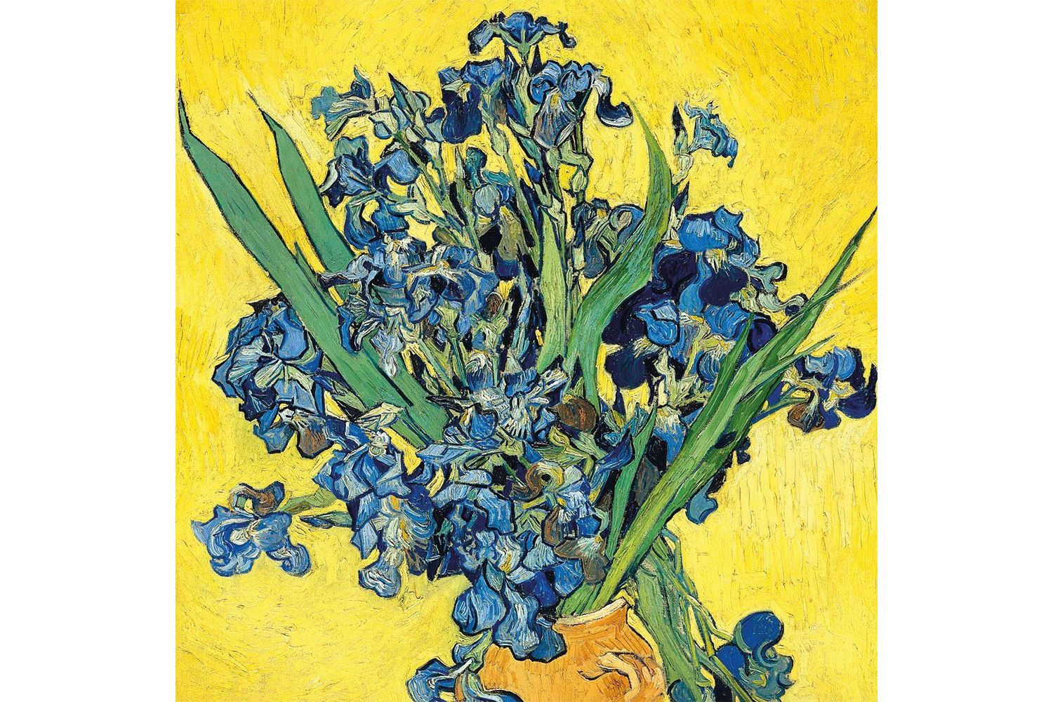 E Theme Notecards - Vincent Van Gogh - Notecards Wallets-4