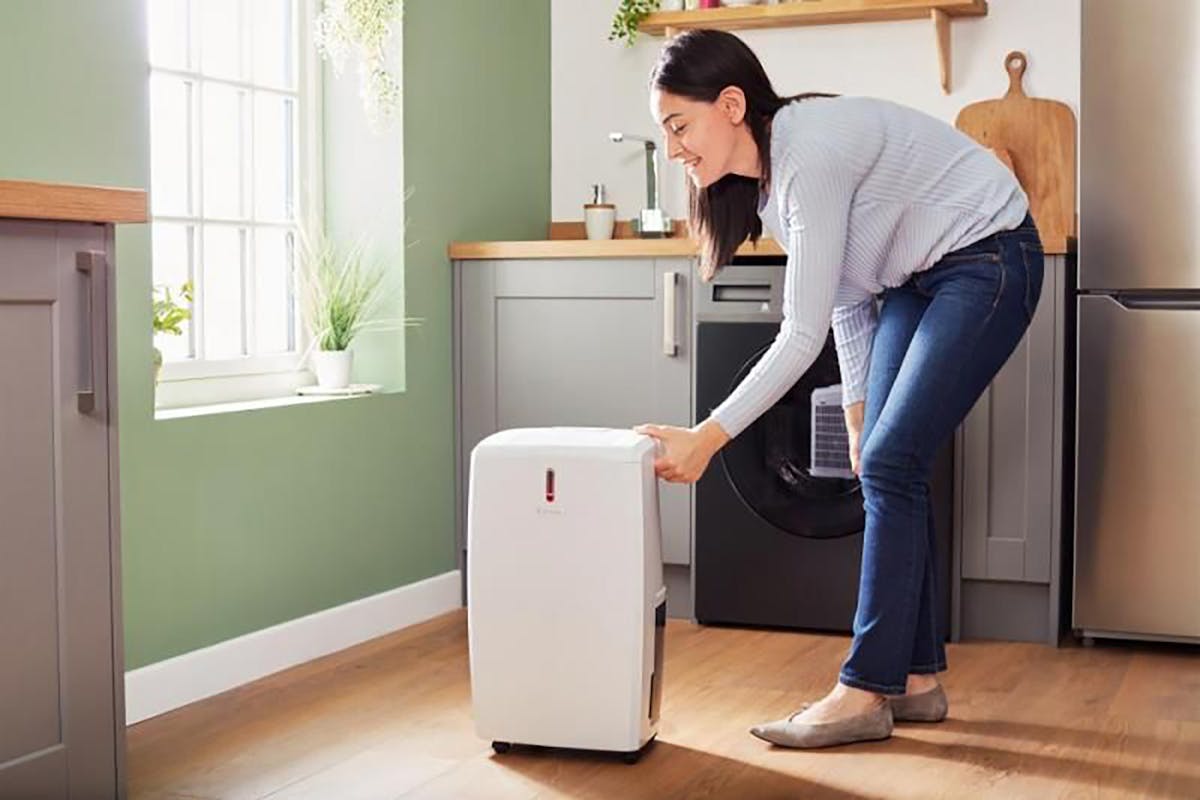 Dimplex 20L Dehumidifier | EVERDRI20EL | White/ Light Grey-2