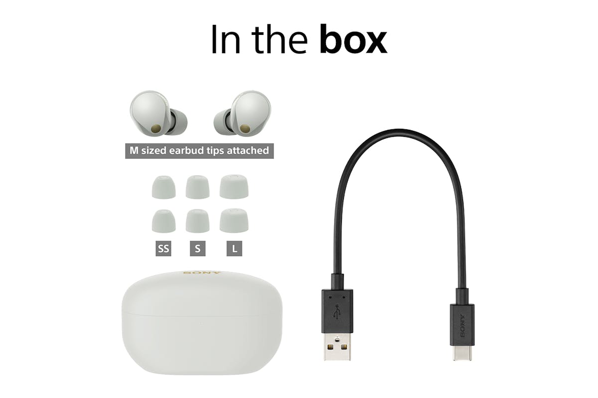 Sony WF-1000XM5 Wireless Noise Cancelling Earbuds | Silver-3