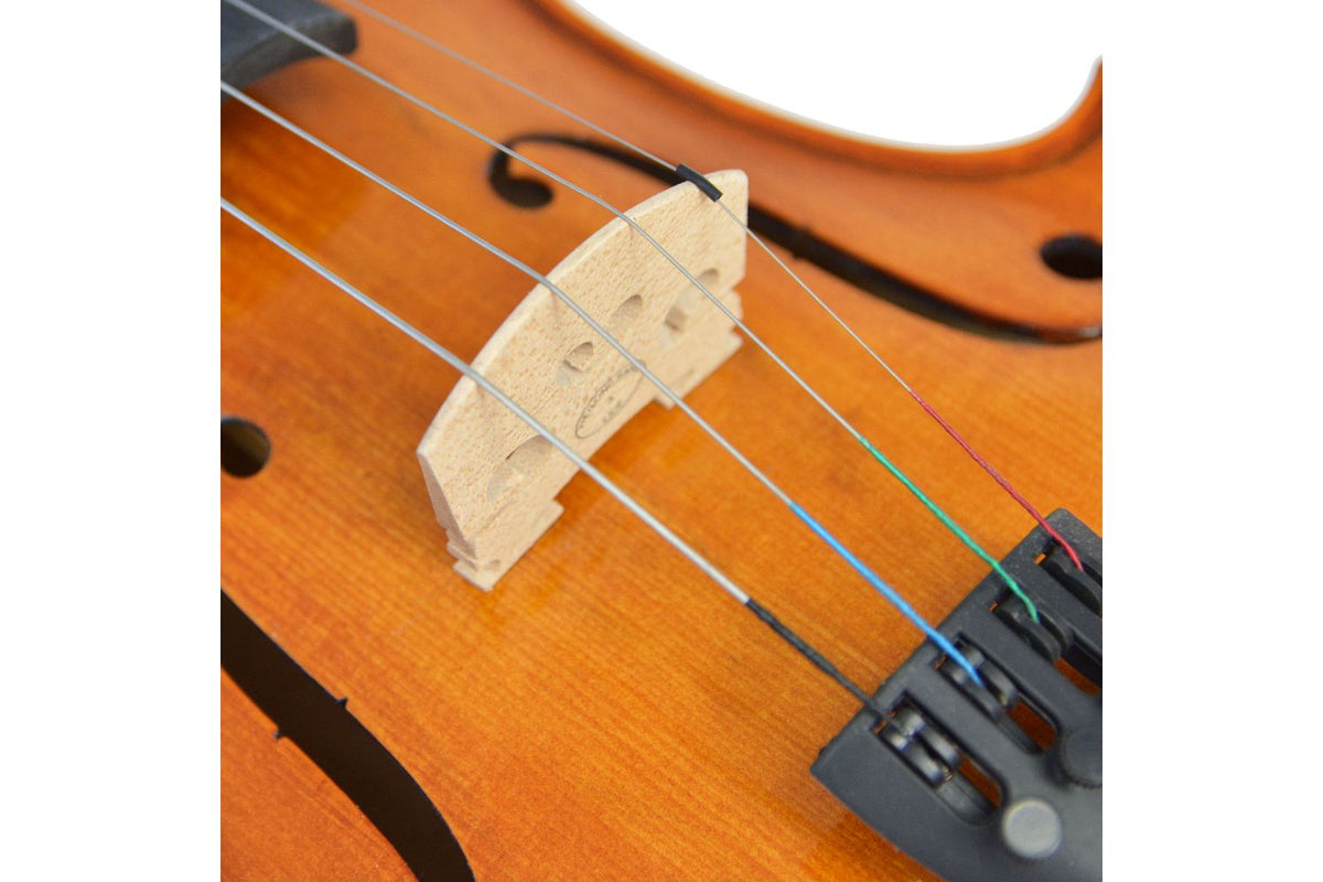 Forenza Prima 2 Viola Outfit - 13 Inch-2