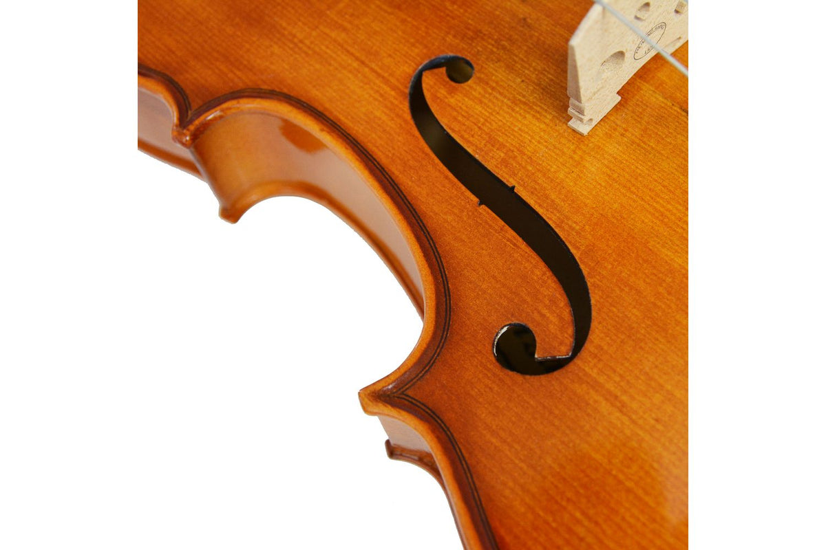 Forenza Prima 2 Viola Outfit - 155 Inch-5