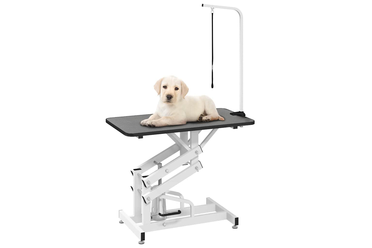 Vidaxl 170172 Hydraulic Bath Grooming Table For Dogs Cats Pets Adjustable-2