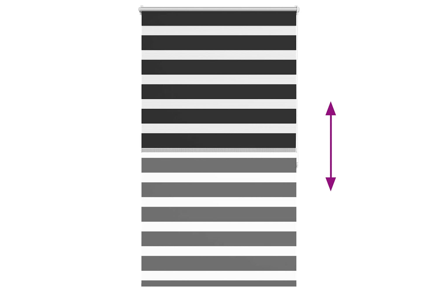 vidaXL 240212 Zebra Blind 100 X 175cm Black-4