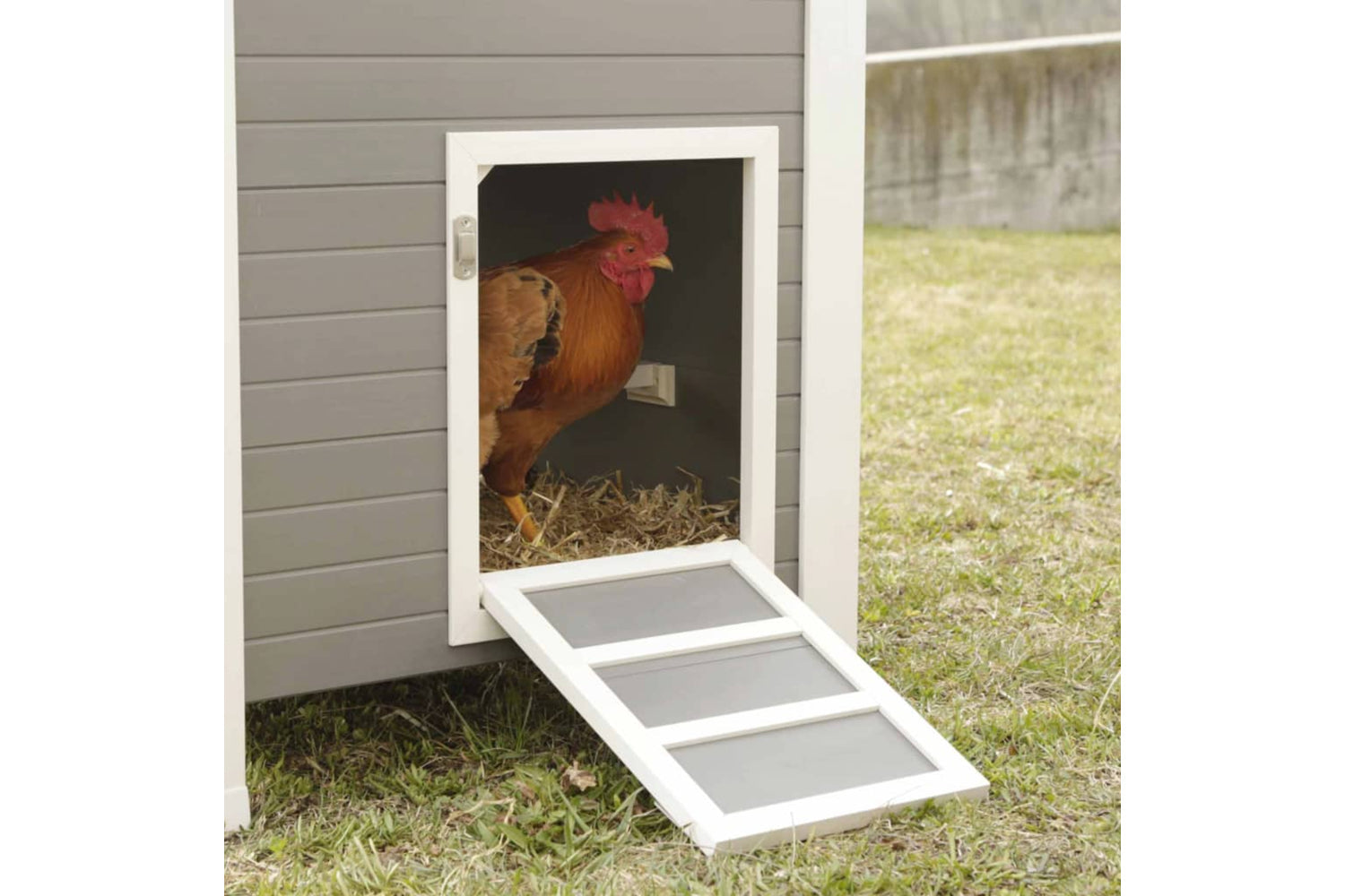 Kerbl 423474 Eco Chicken Pen Barney Plastic 137x73x83 Cm Grey And White-2