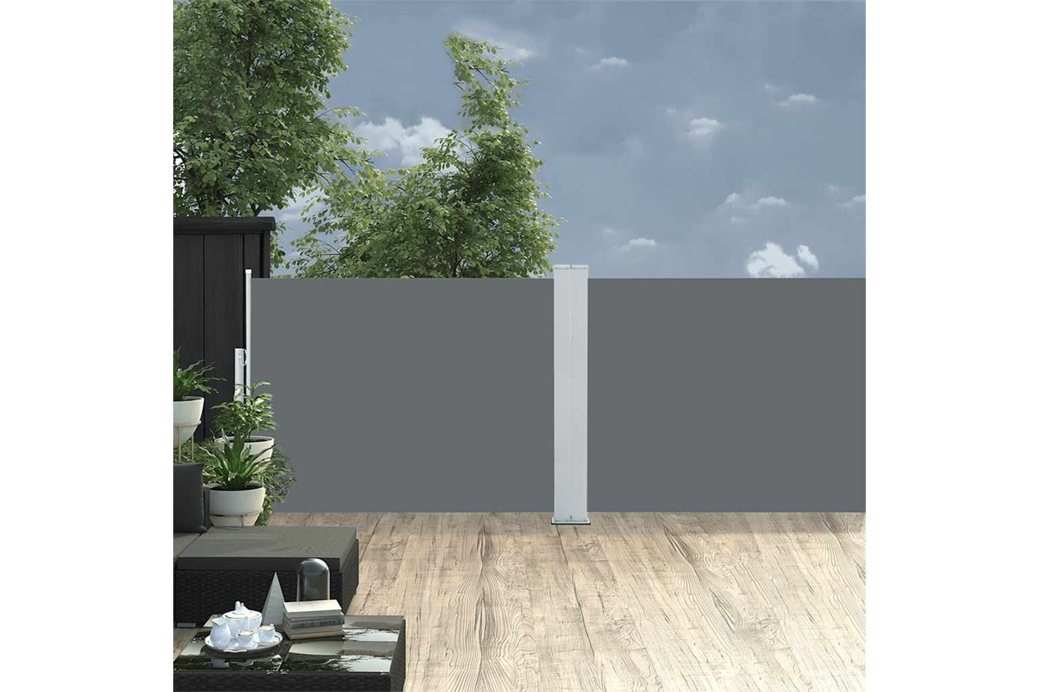 vidaXL 48474 Retractable Side Awning Anthracite 100x1000cm-2