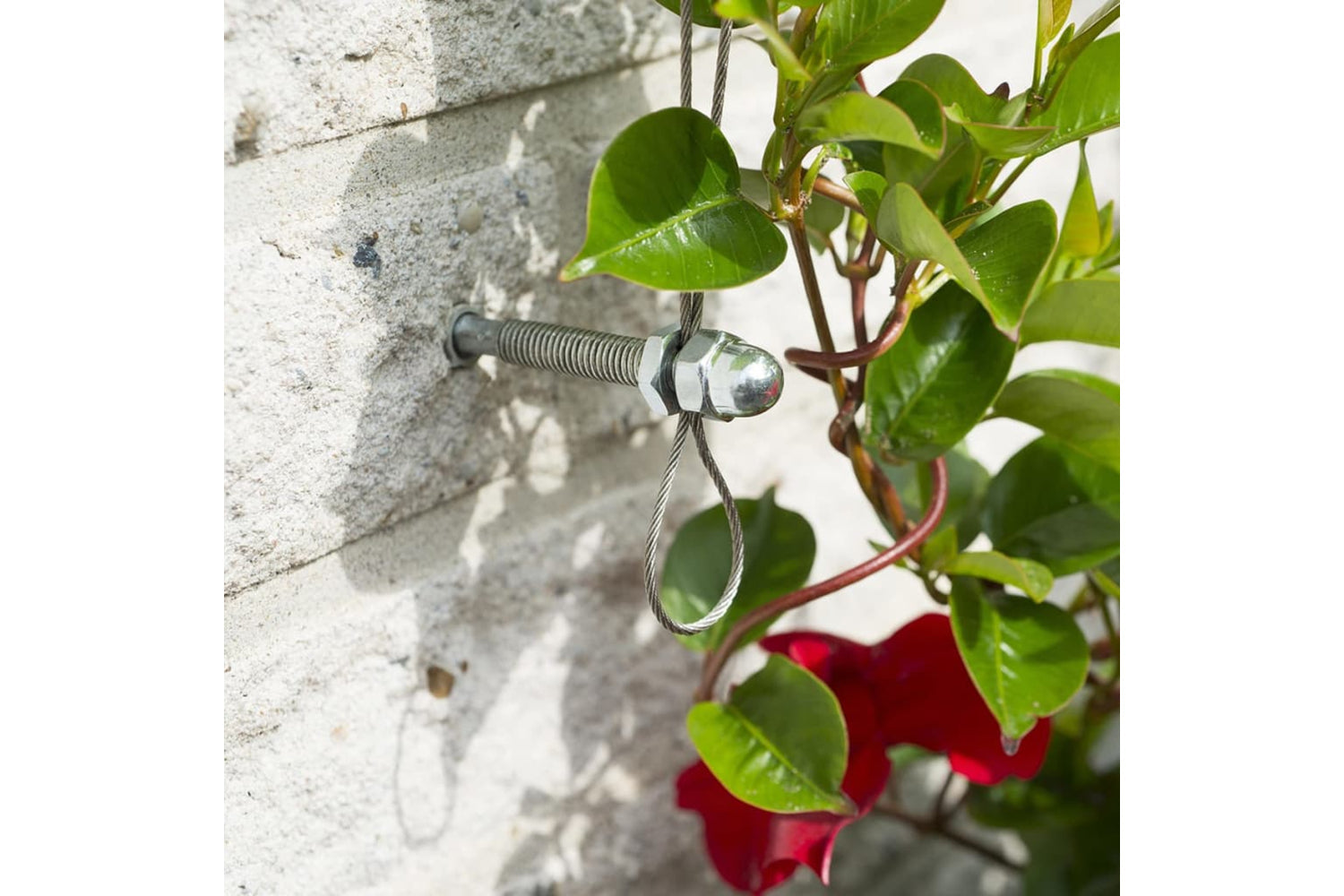 Nature 276220 Wire Trellis Sets For Climbing Plants 2 Pcs-5