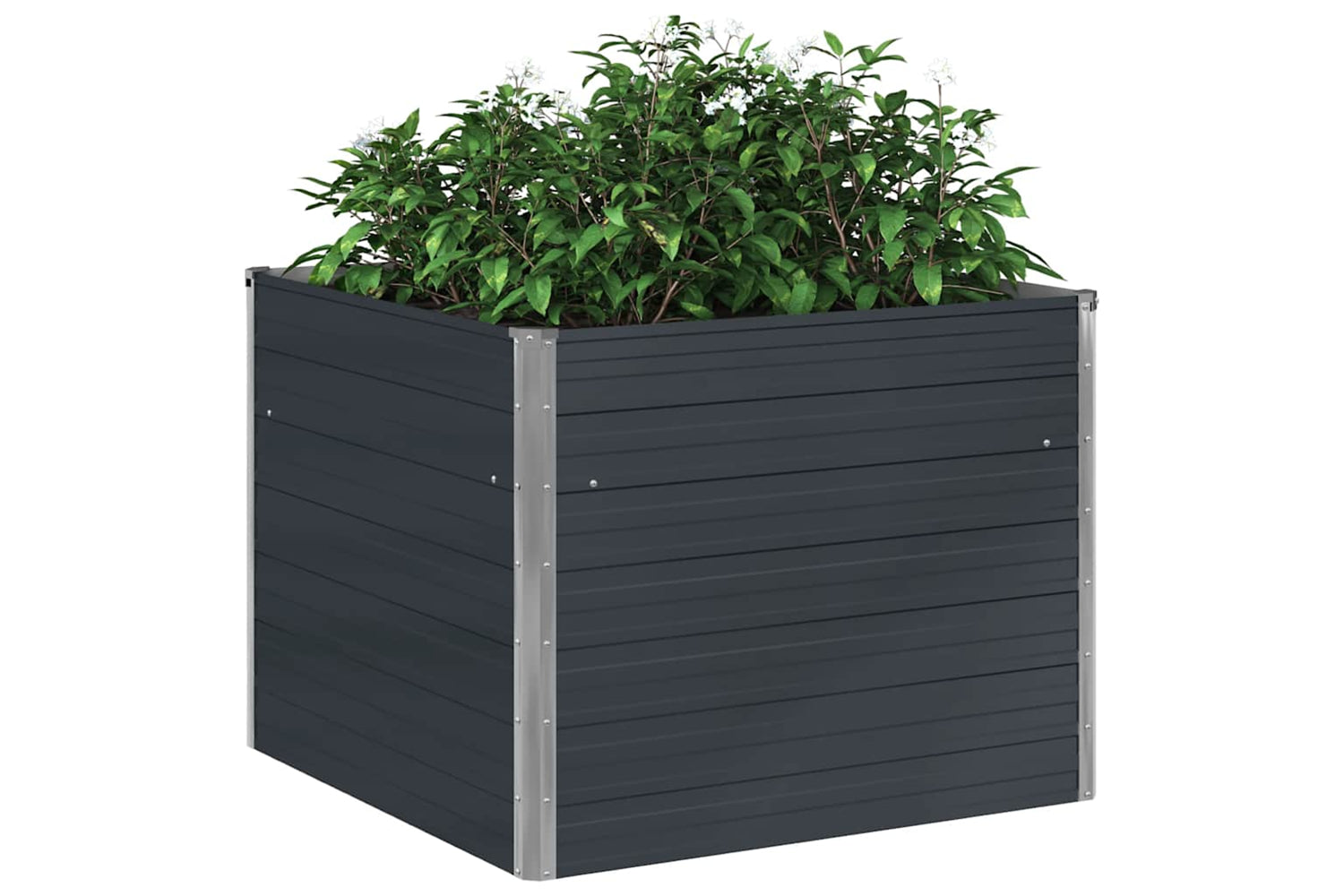 Vidaxl Raised Garden Bed Anthracite 100x100x77 Cm Galvanised Steel-4