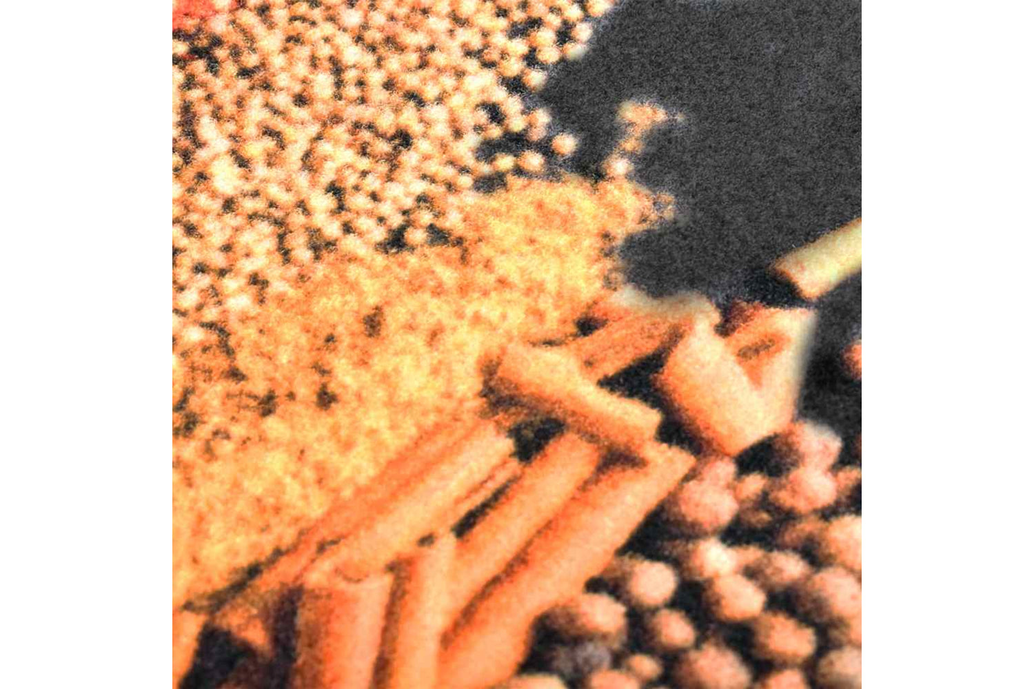 vidaXL 323475 Kitchen Floor Mat Washable Spice 45x150cm-4