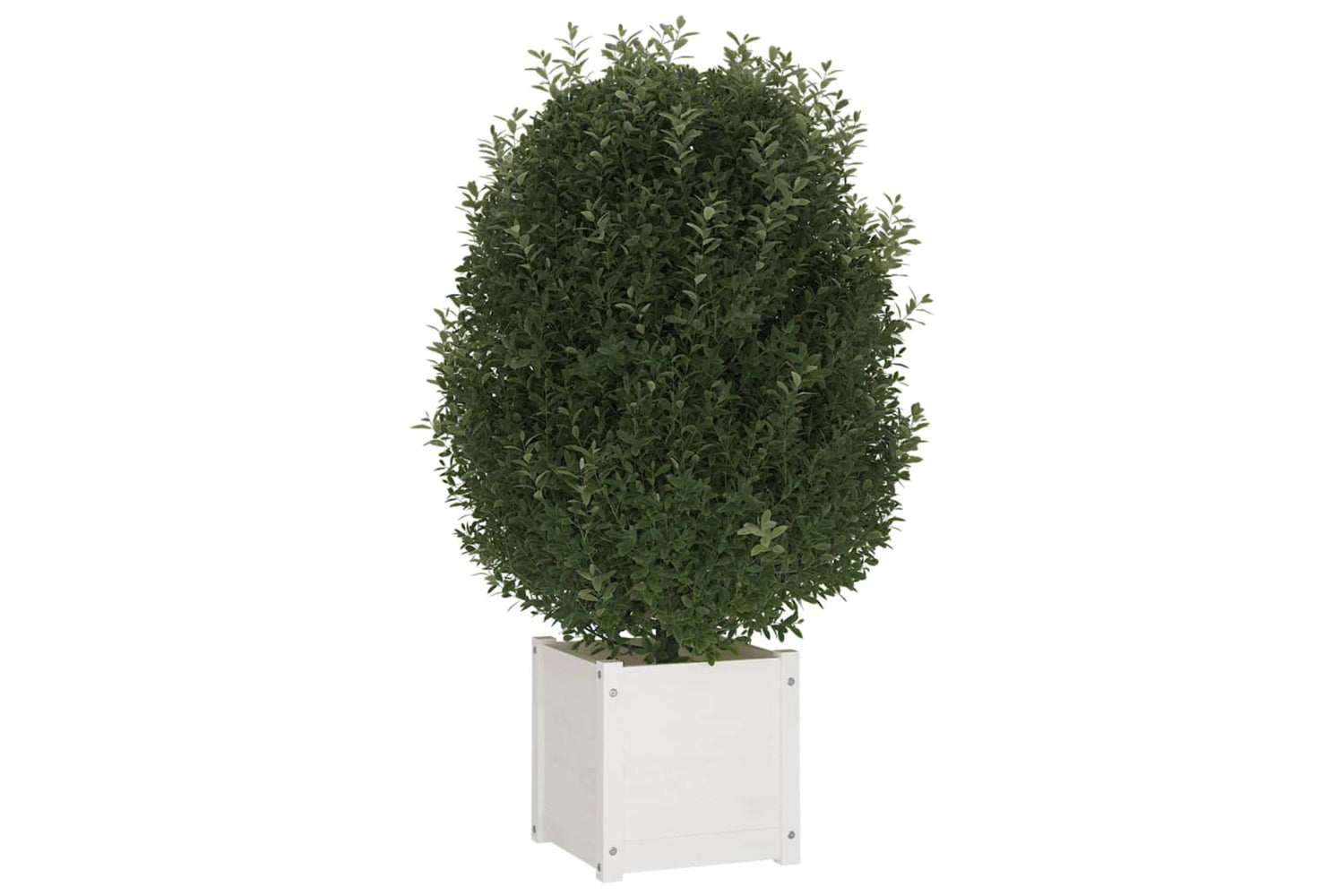 vidaXL 810537 Garden Planters 2 Pcs White 40x40x40cm Solid Pinewood-3