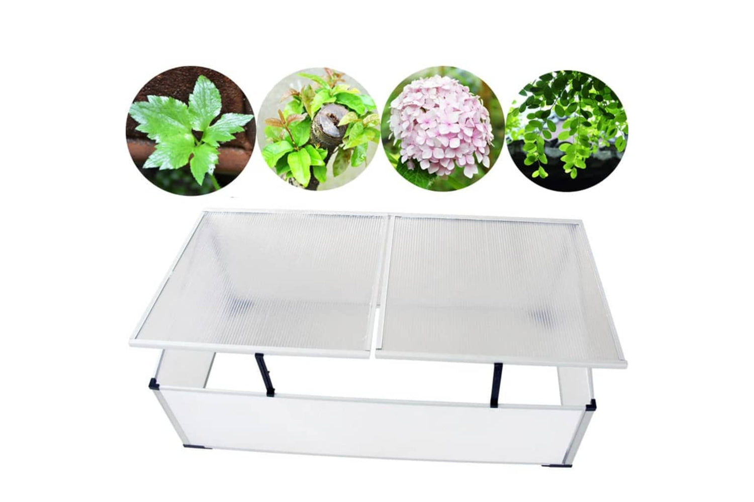 vidaXL 40213 Cold Frame 2 Lids 110x55x41cm-6