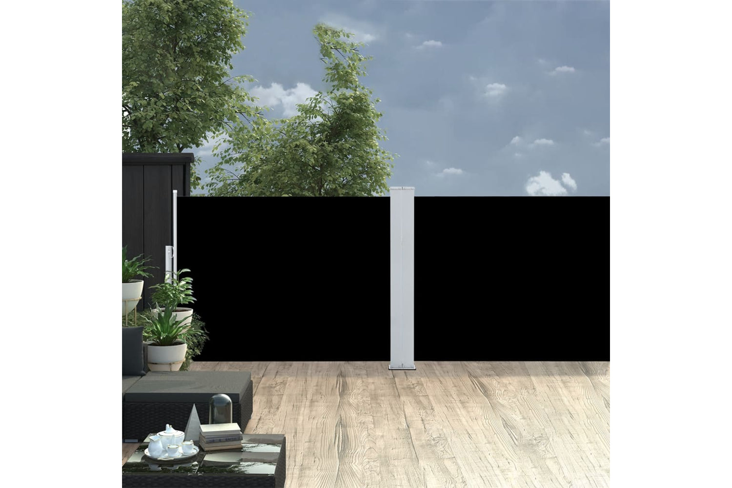 vidaXL 48472 Retractable Side Awning Black 100x1000cm-2