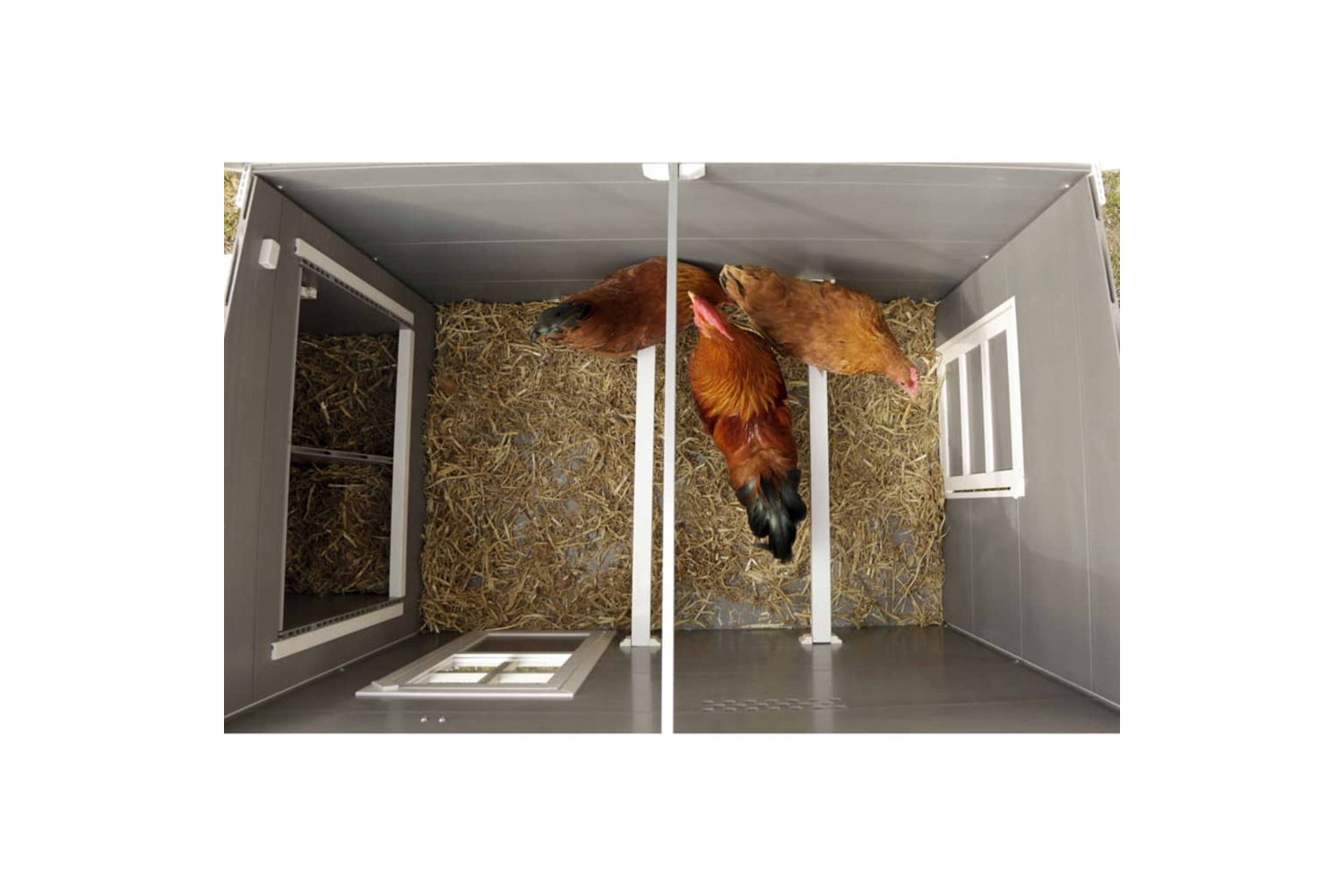 Kerbl 423474 Eco Chicken Pen Barney Plastic 137x73x83 Cm Grey And White-3
