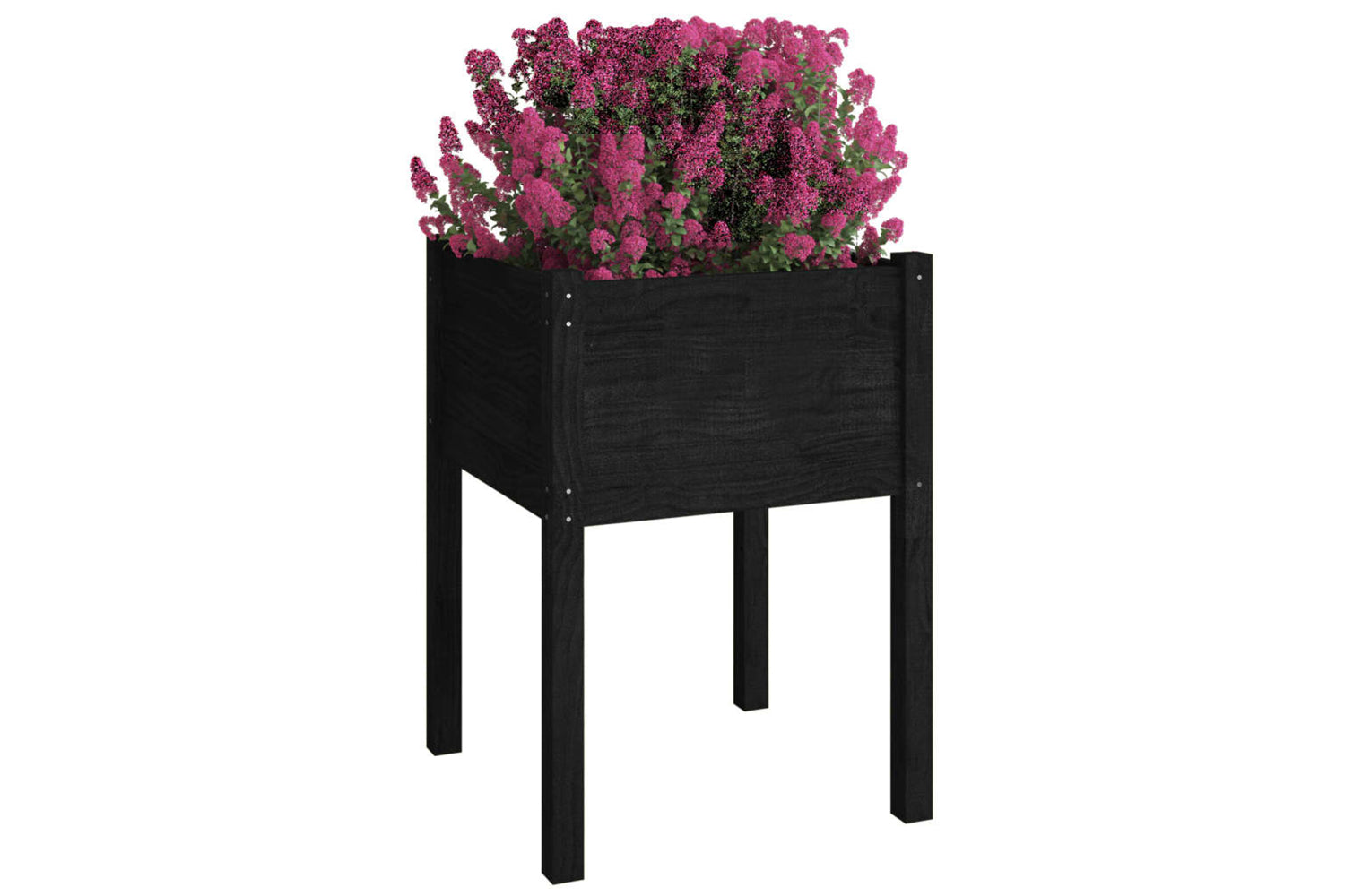 vidaXL 810808 Garden Planters 2 Pcs Black 50x50x70cm Solid Pinewood-2