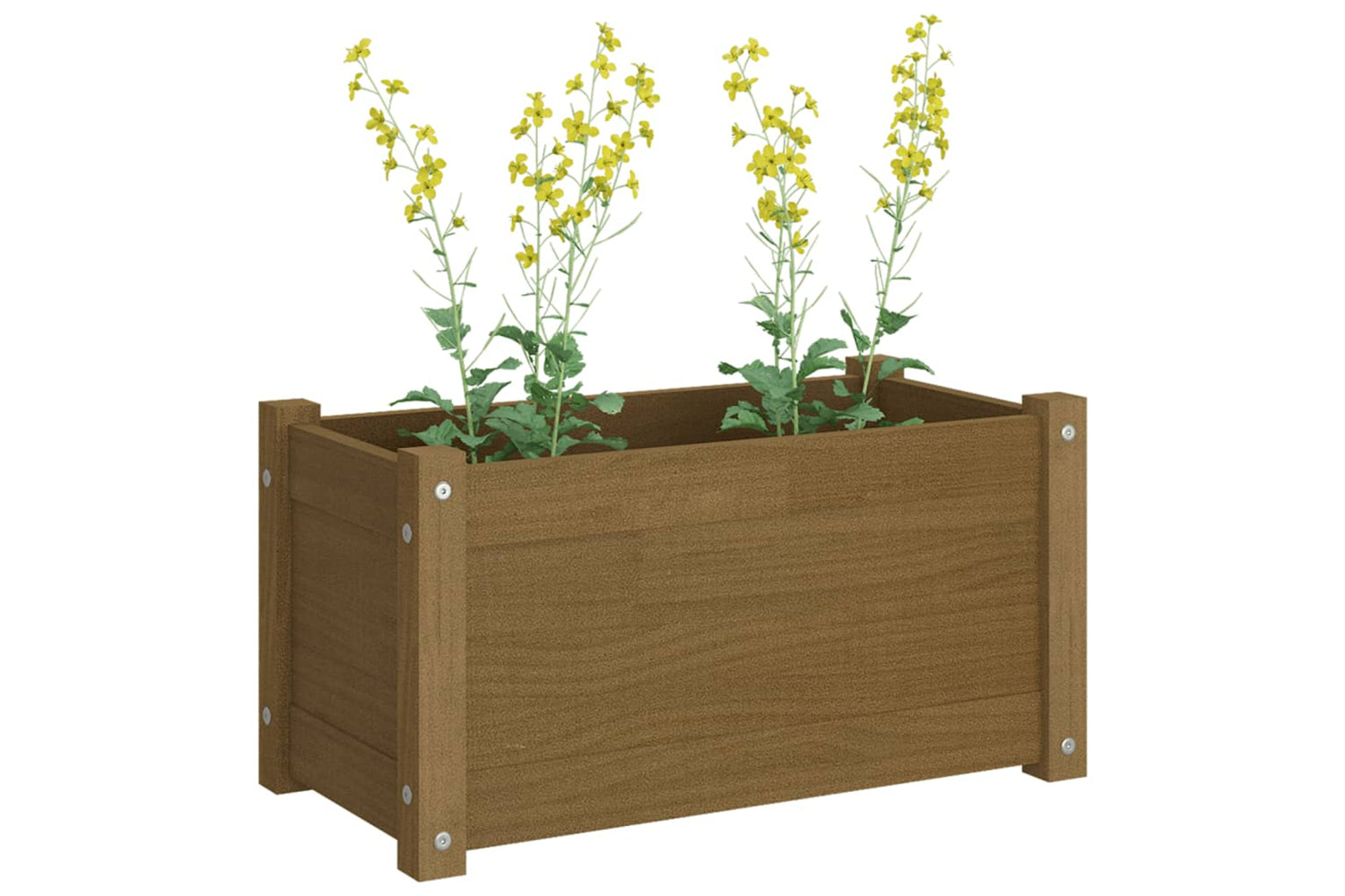 vidaXL 810710 Garden Planter Honey Brown 60x31x31cm Solid Pinewood-6
