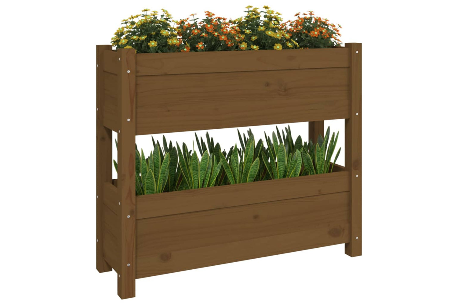 vidaXL 823944 Planter Honey Brown 77x25x66cm Solid Wood Pine-3