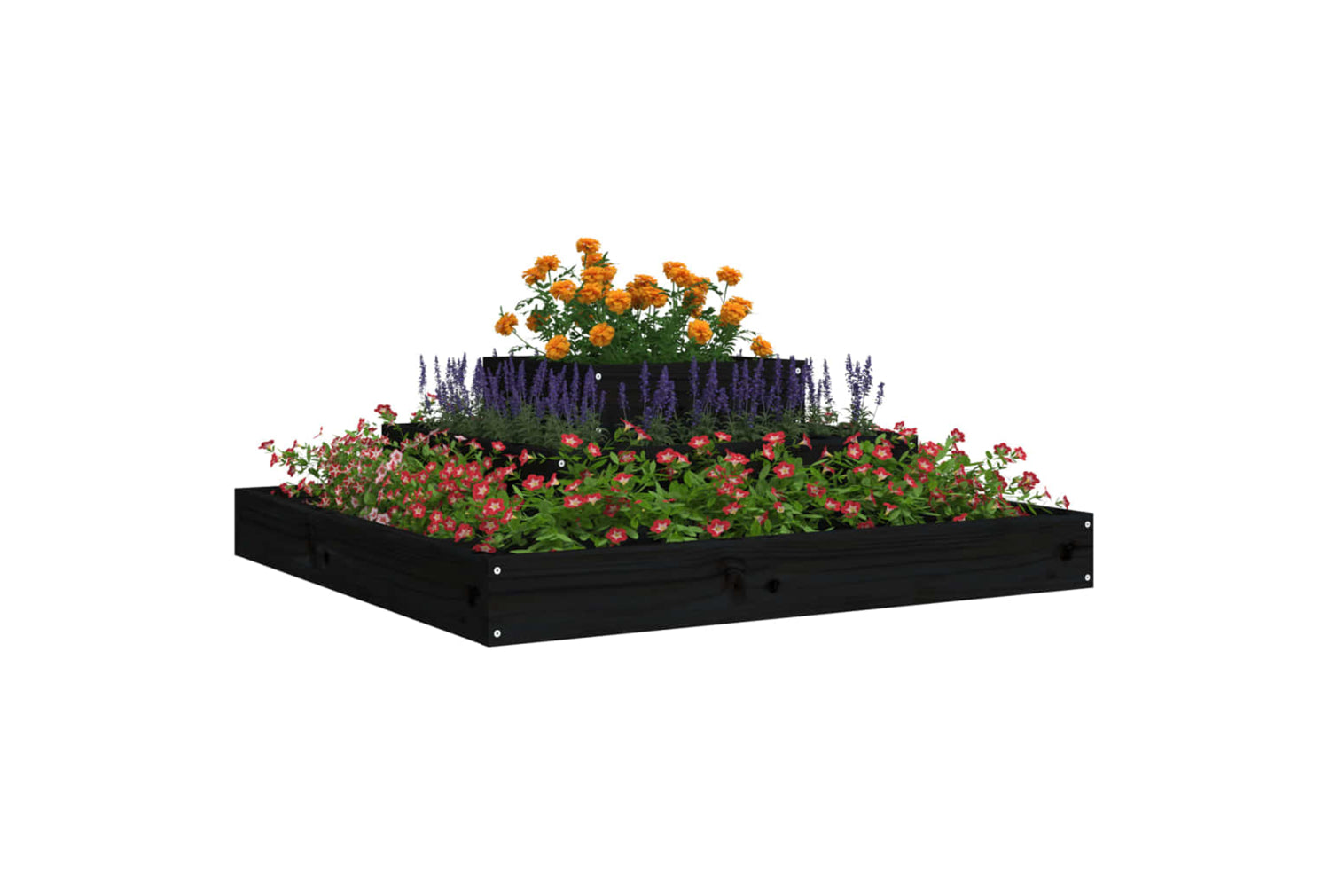 vidaXL 823868 Planter Black 80x80x27cm Solid Wood Pine-2