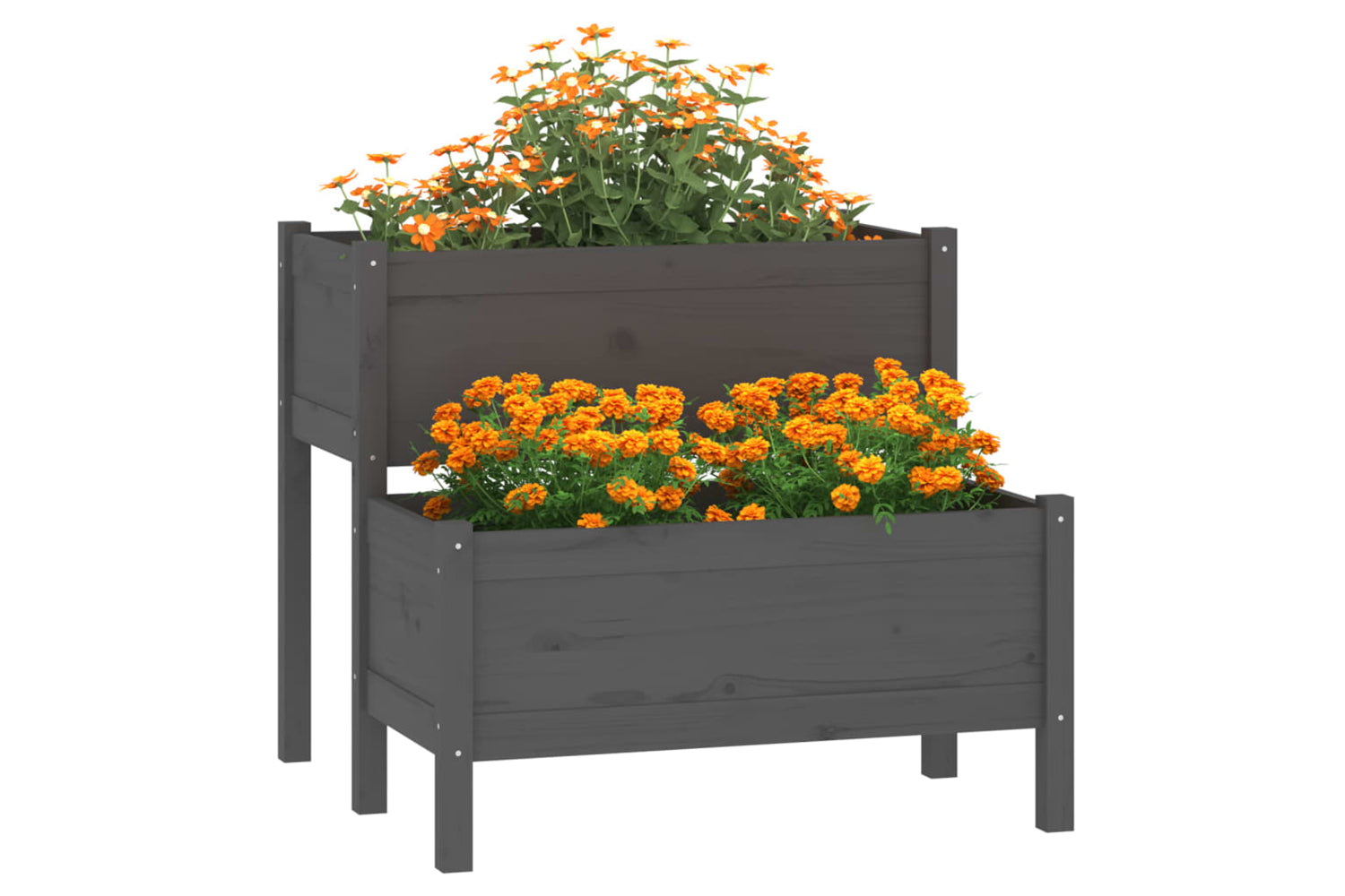vidaXL 822259 Planter Grey 84.5x84x75cm Solid Wood Pine-2
