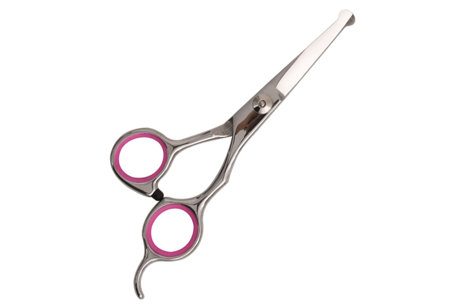 Vidaxl 172416 5 Piece Dog Grooming Scissors Set Stainless Steel-4